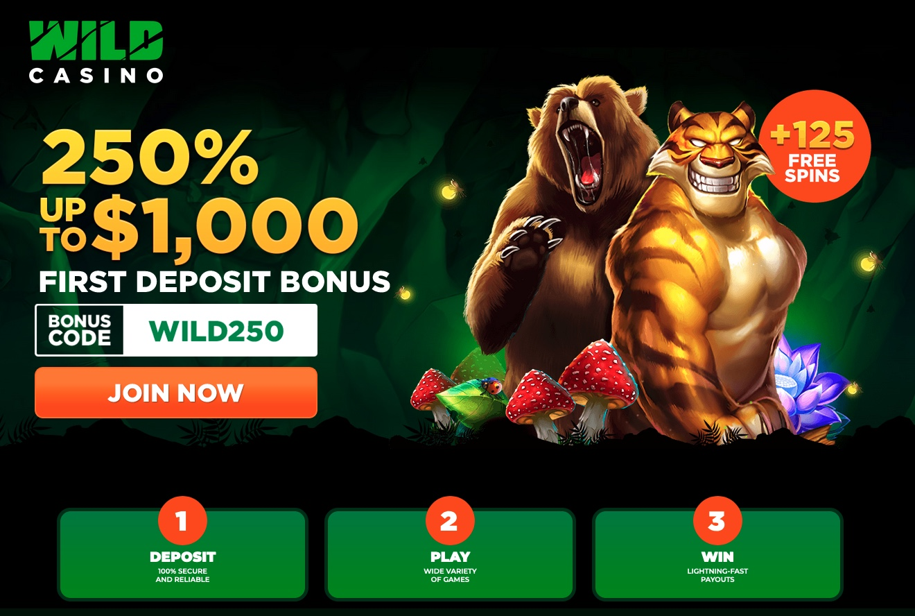 Wild Casino: 250% first deposit bonus up to $1,000 plus 125 free spins. Bonus code WILD250.